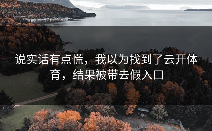 说实话有点慌，我以为找到了云开体育，结果被带去假入口