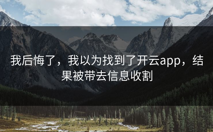 我后悔了，我以为找到了开云app，结果被带去信息收割